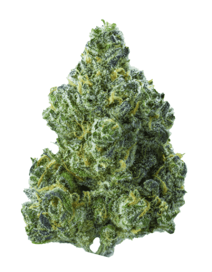 SMOKEN PROMISES PREROLL- 1G BLUE DREAM (2CT)