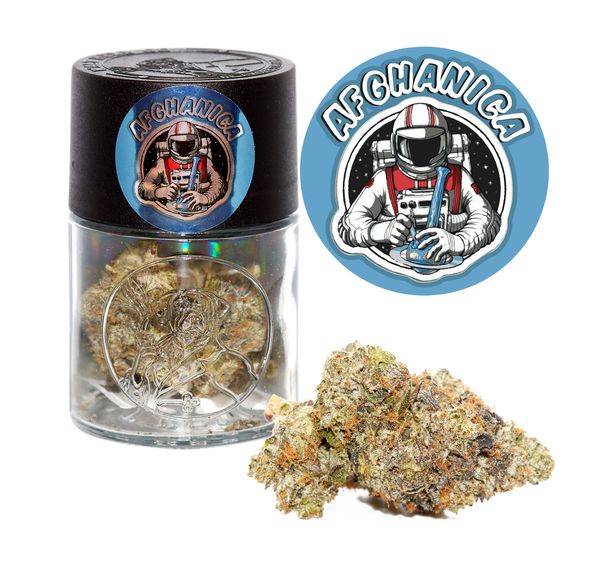 7G Walt Herb Co. Afghanica