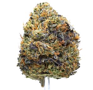 Black Gas