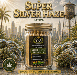 0.7G Pre-Roll: Super Silver Haze (S) 40 Pack JAR