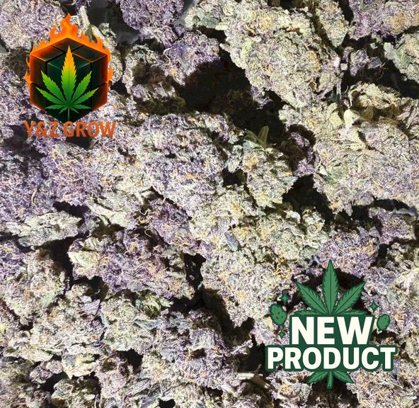 ?? SALE ?✨ BLACKBERRY KUSH (Indica) - Premium