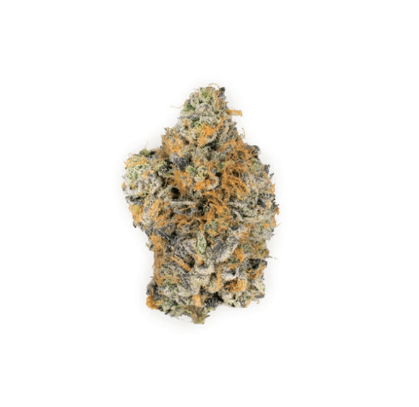 Zookies