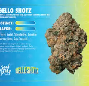 3.5g - Gello Shotz - Sativa