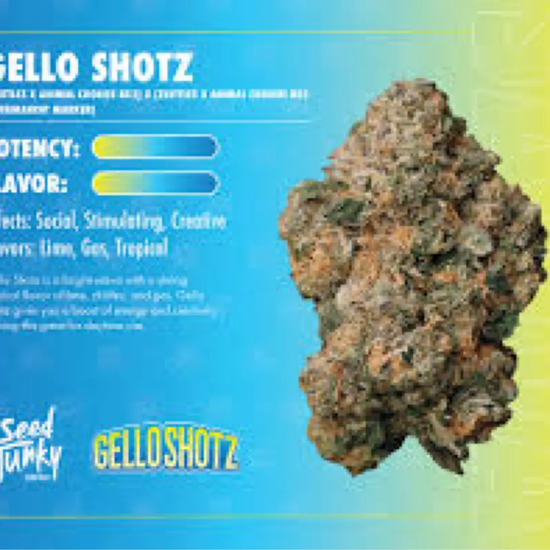 3.5g - Gello Shotz - Sativa