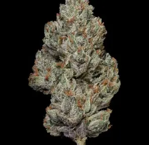 MVN- Gelato Gas - Eighth - PP