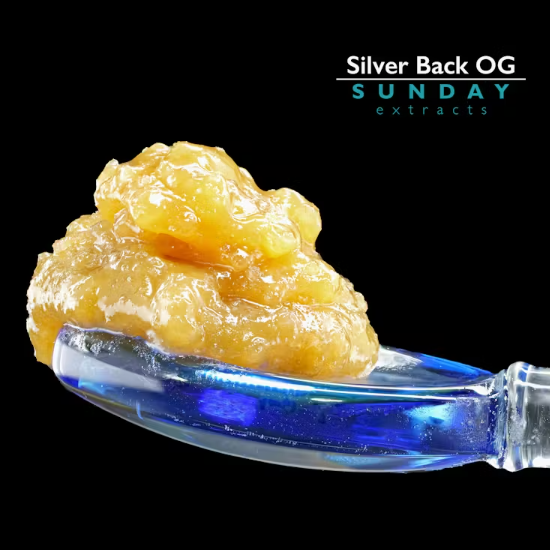 Concentrate Silver Back OG