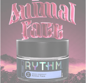 Animal Face 3.5G