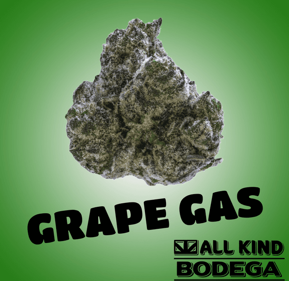 Grape Gasoline 3.5 Flower (@jarcannabis2.0)