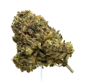 Gorilla Gas