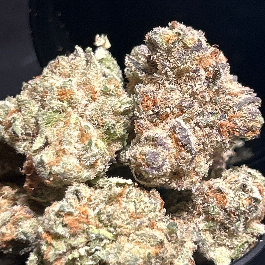 Lemon 17 Flower