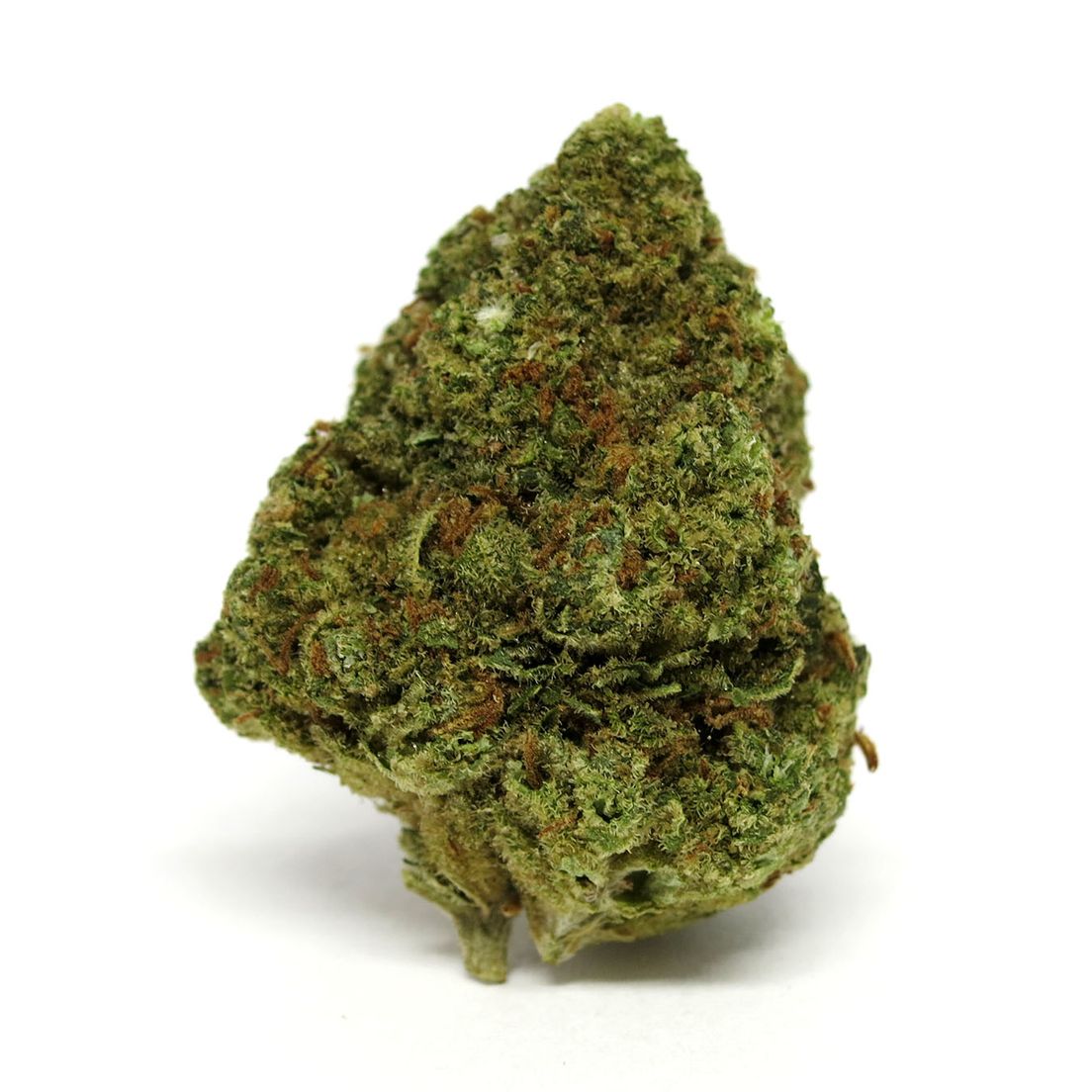 Alien OG by High Garden