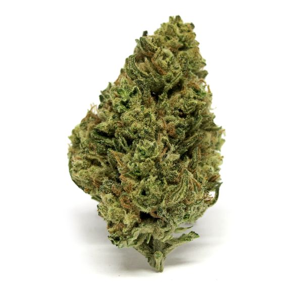 BIG GRAPE PIE by House Weed