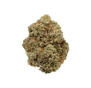 Bigfoot Glue (Premium)