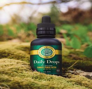 Daily Drops (S) | Lg 50 ml, 500 mg Tincture | Treeworks
