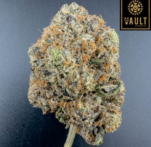 7g - PLASMA PINK (AAAA+)
