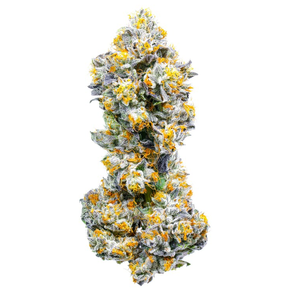 3.5G - Baklava Indoor