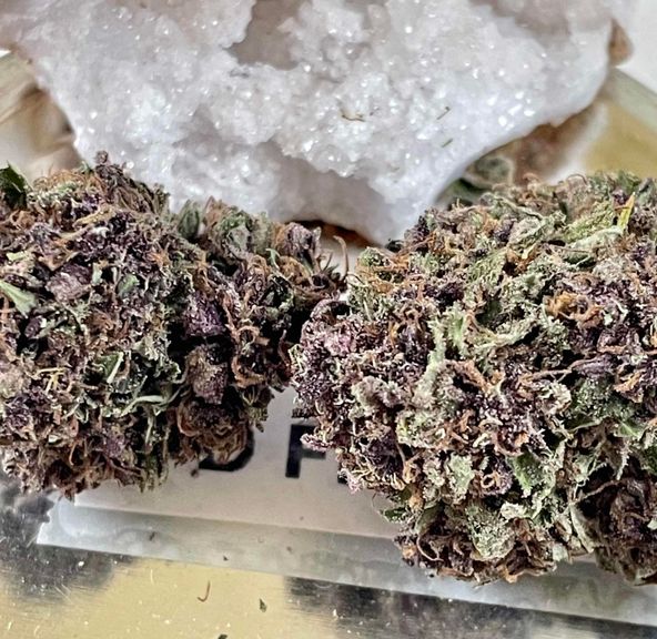 Dragonfruit-Light Dep