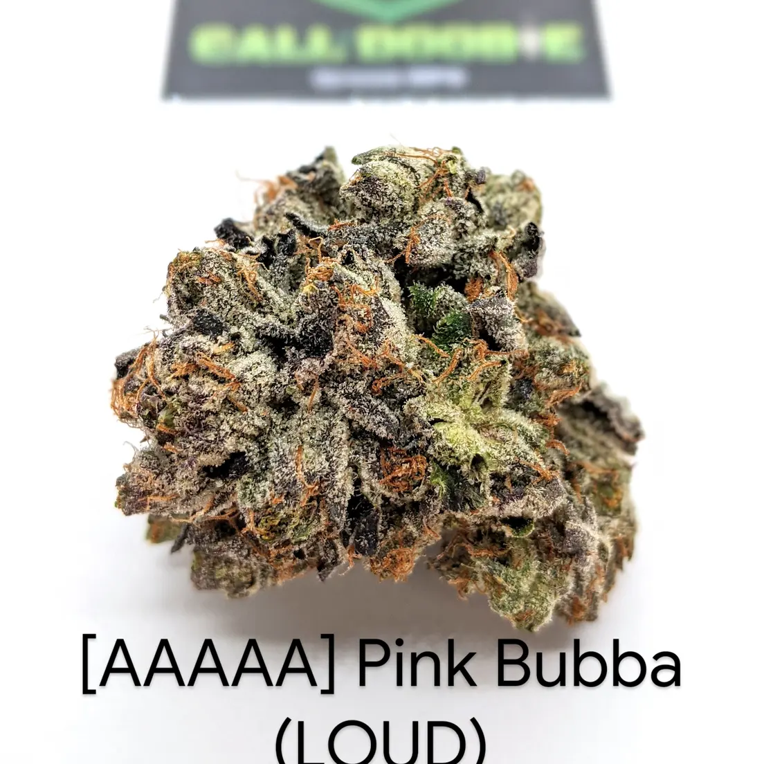 [AAAAA] Pink Bubba (LOUD)