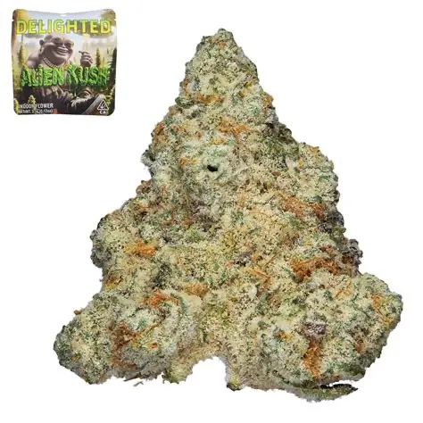 Delighted - Flower - 7g - Alien Kush