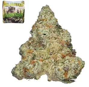Delighted - Flower - 7g - Alien Kush