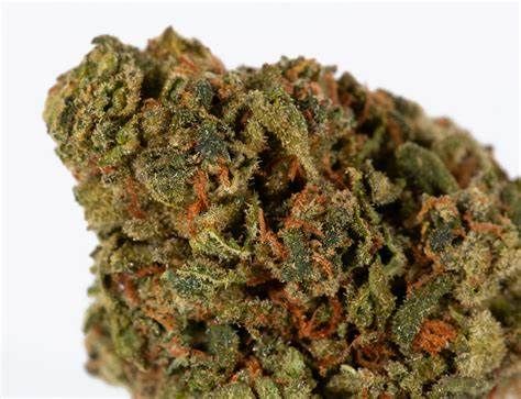 Candy Apple