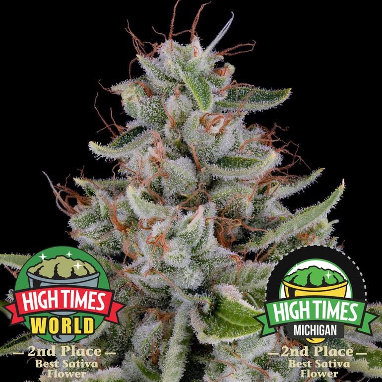 Cannabiotix | Tropicanna 26.72% THC 3.5g