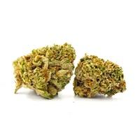 Afghani Purps (I) 3.5g (Rev Clinics)