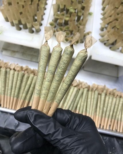 Cannabis Farm - Quantum Kush - Preroll - 1g
