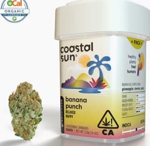 Banana Punch
