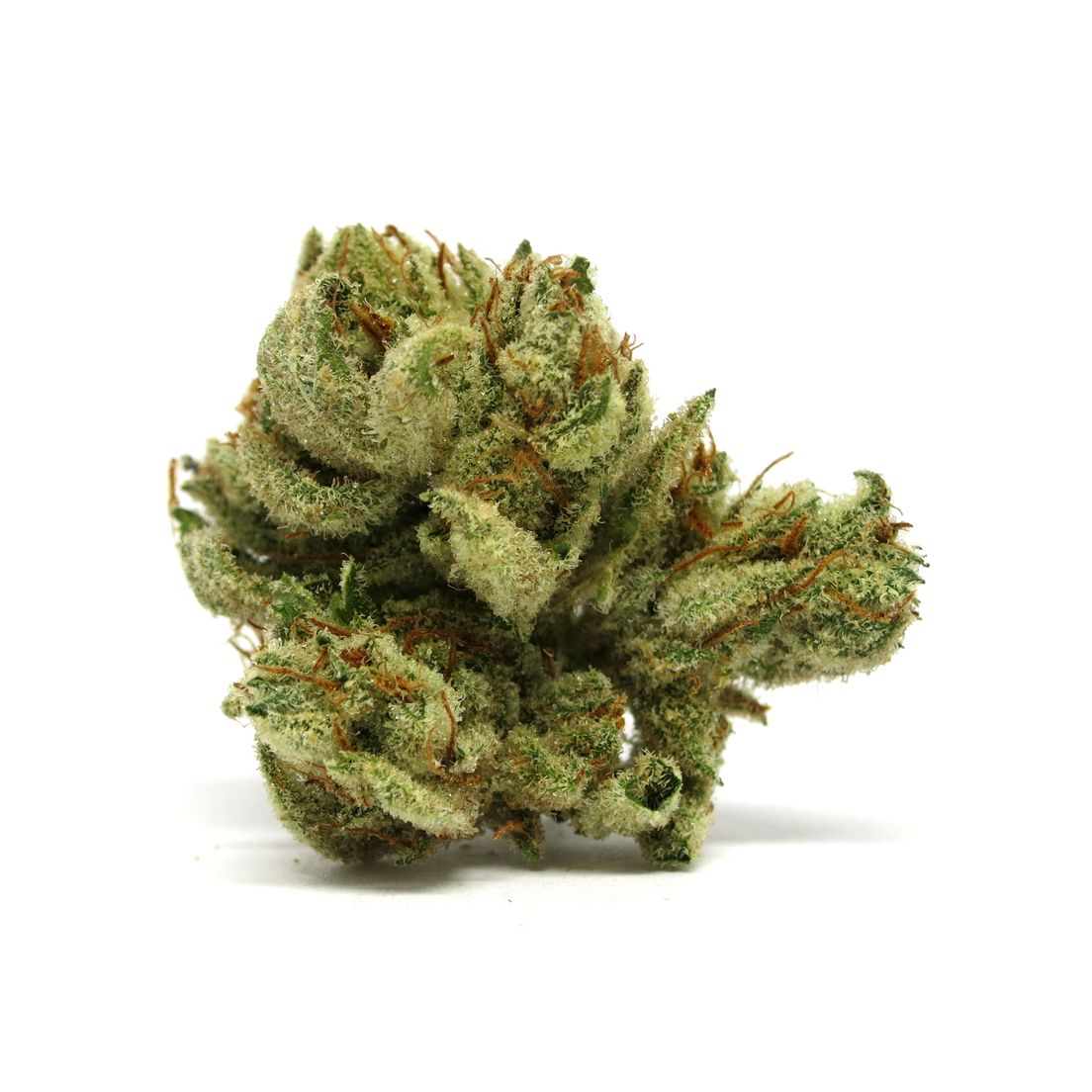 Tahoe OG by FreeMook