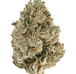 Bumper OG | 3.5g Flower