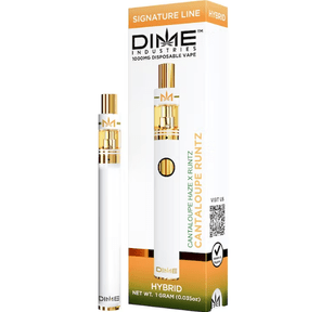 Cantaloupe Runtz 1000mg All In One Device