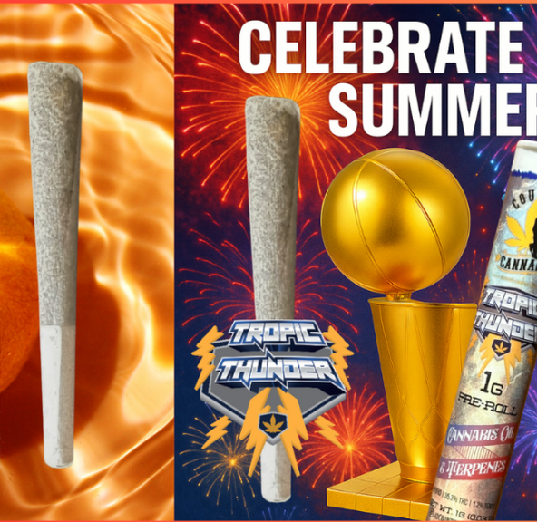 Country Cannabis - 1g Infused Pre-Roll - Apricot