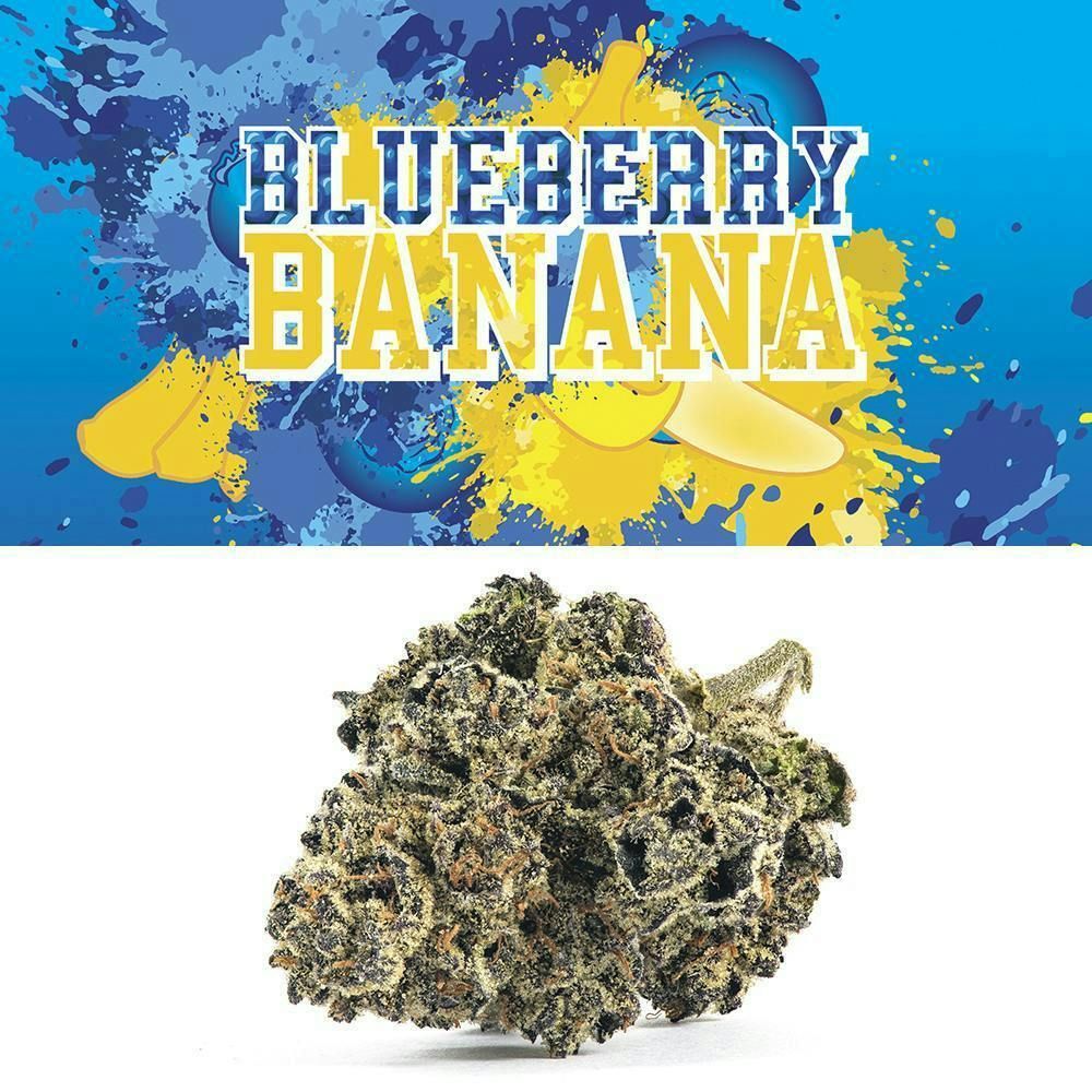 Cookies - Blueberry Banana (3.5g)