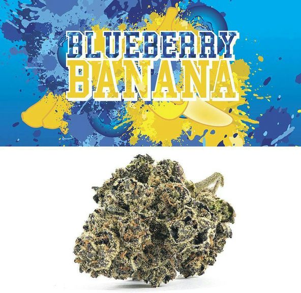 Cookies - Blueberry Banana (3.5g)