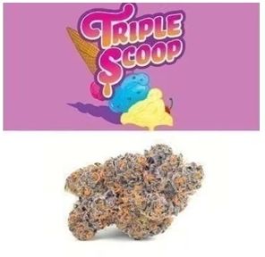 Cookies Triple Scoop Tub 3.5g