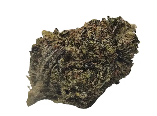 .Mendo Breath 3.5 Grounded Gardens