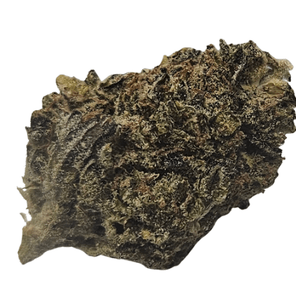 .Mendo Breath 3.5 Grounded Gardens