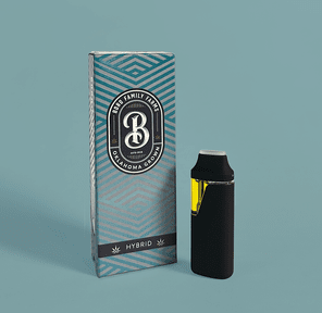 BORO 2G ALL IN ONE DISPOSABLE STRAWBERRY DELIGHT