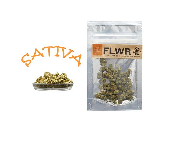 Cali Flwr Farms - Maui Wowie - 28g - Sativa
