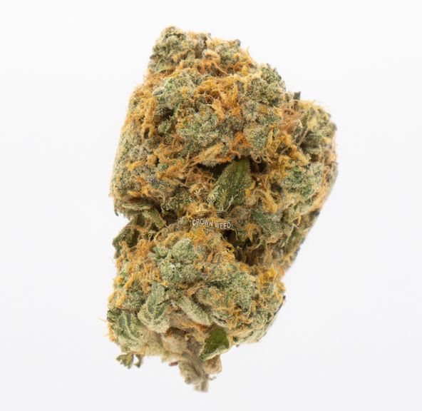 7G - Gary Peyton