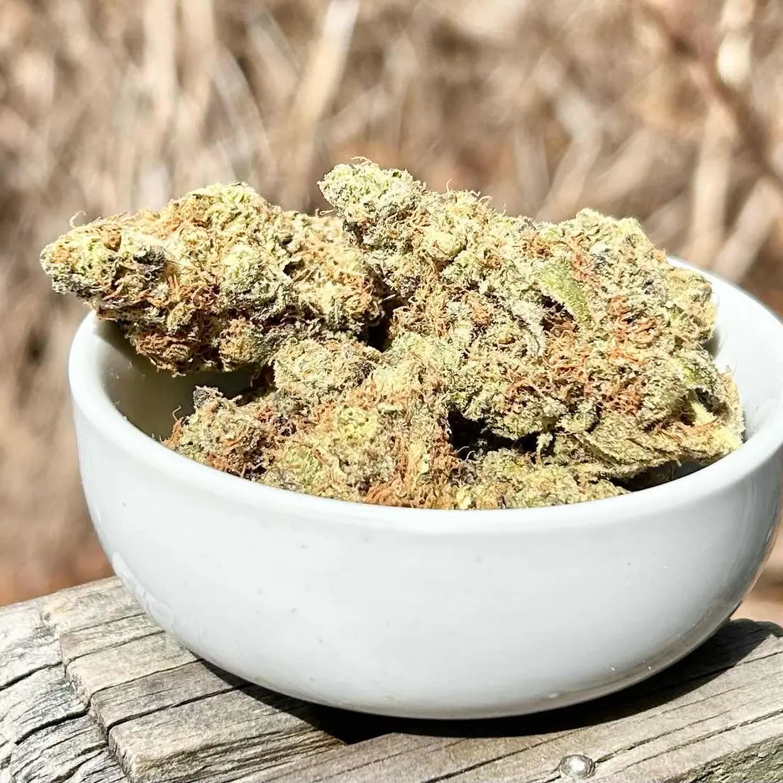 Gorilla Breath Bulk Flower | Golden Nuggets