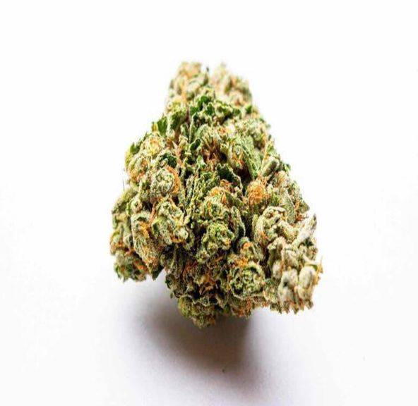 Biscotti Ounce (29 % THC, Indica)