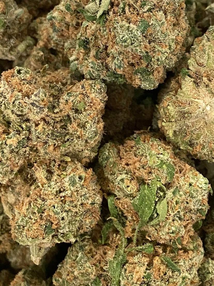 BIG BUD