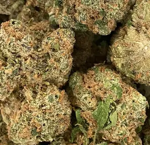 BIG BUD