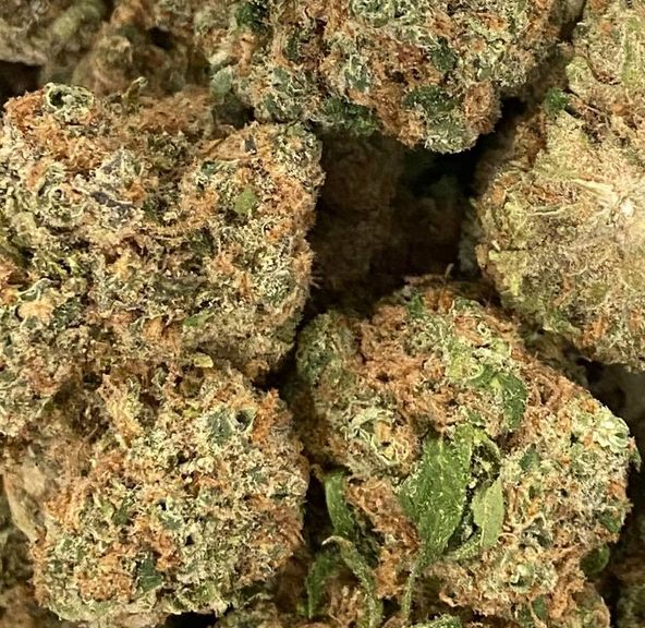 BIG BUD