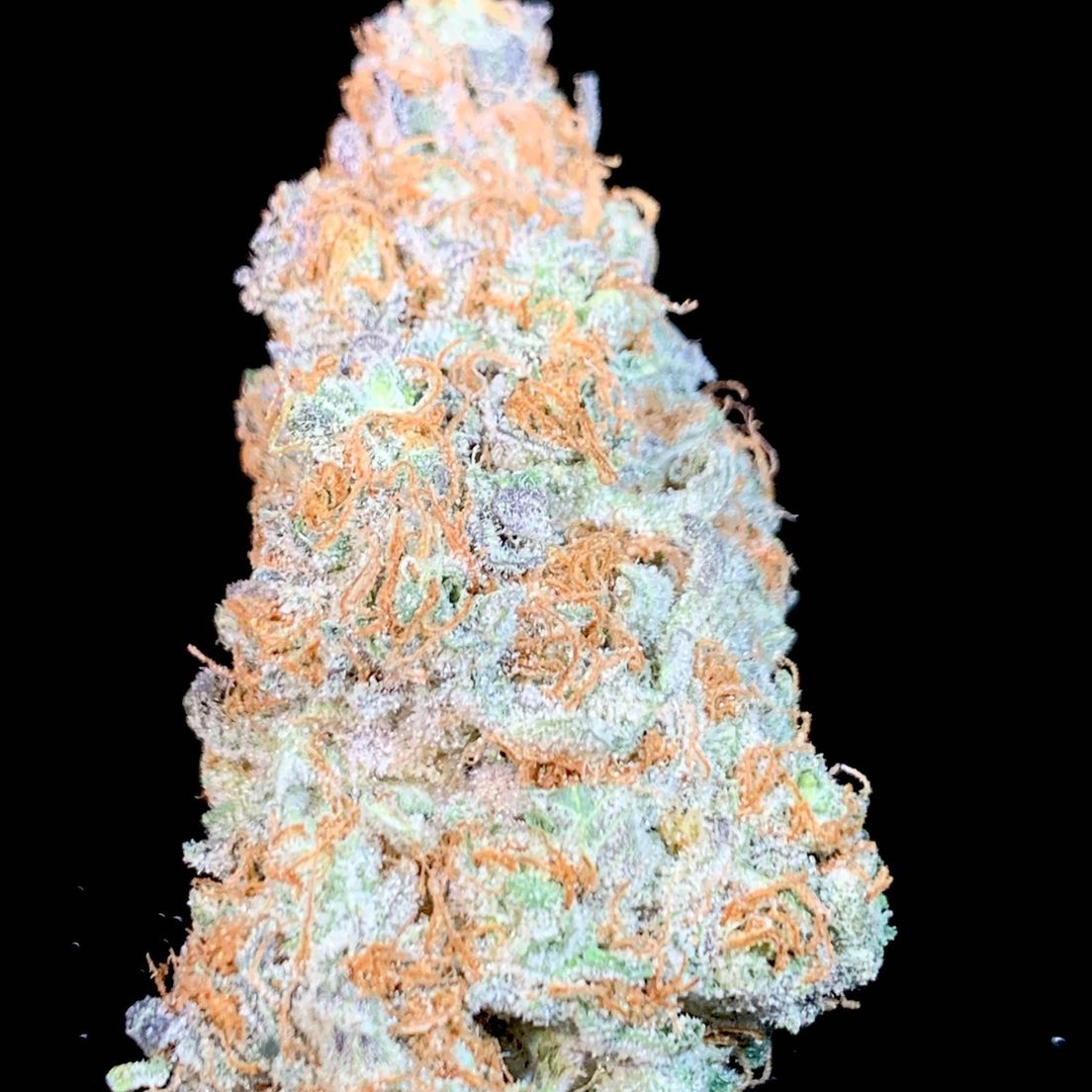 GMO CAKE **FIRE** $160 OZ SPECIAL