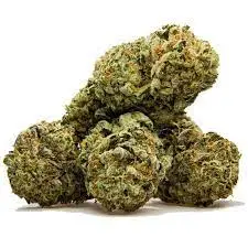 Green Crack