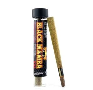Black Mamba - King Louis XXL Preroll 1.77g