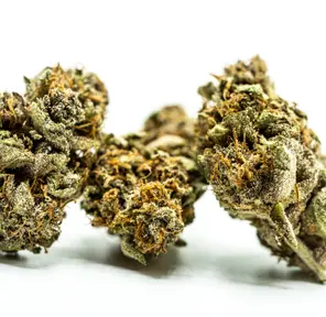 Blueberry Muffin